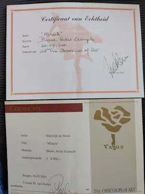 Marjolijn de Bruin - "Miracle" kopen? Bied vanaf 1200!