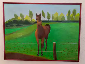 Jan Verheyen - Paard in wei verkauft für € 200!