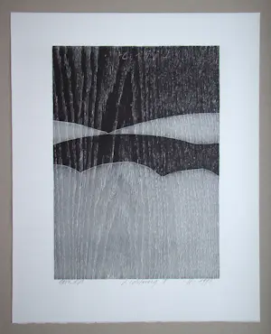 Franz Eggenschwiler - Clearing II, 1992 - Originele houtsnede, handgesigneerd kopen? Bied vanaf 160!