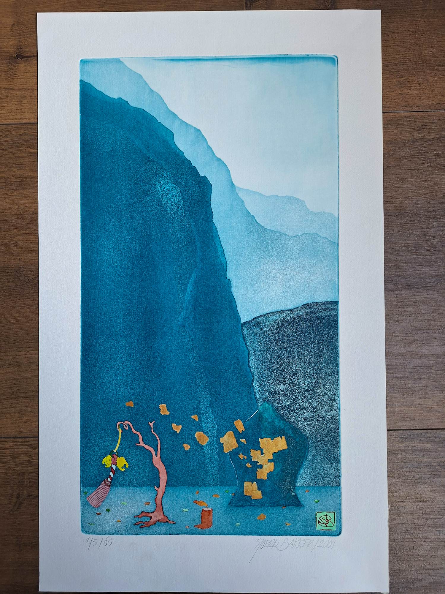 Sjoerd Bakker - Onbekend kopen? Bied vanaf 40!