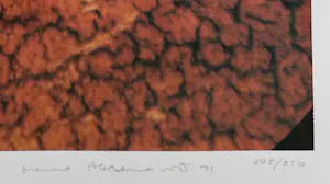 Marina Abramovic - handgesigneerde zeefdruk | 'Zonder titel' | 1991 kopen? Bied vanaf 250!