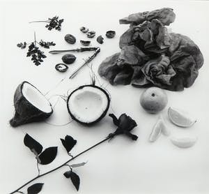 Paul Huf - Foto, Ranta kopen? Bied vanaf 1!