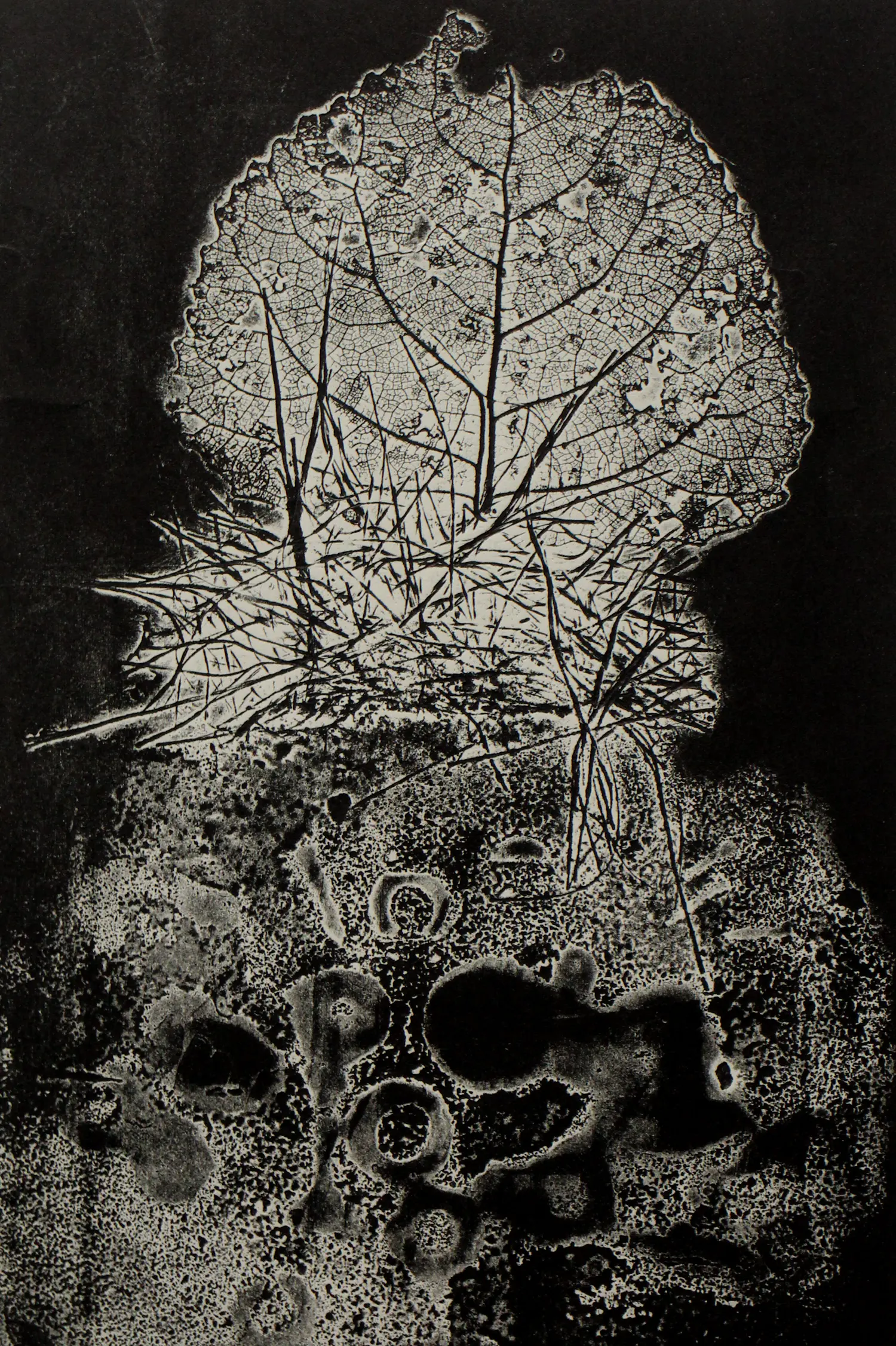 Emile Puettmann (1921-1987)
