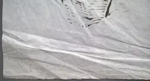 Peter Alma - gesigneerde linoleumsnede kopen? Bied vanaf 55!