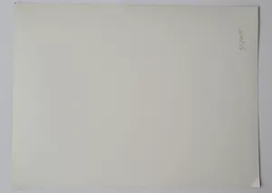 Jan Saudek - Pietà - handgesigneerde gelatin silver print kopen? Bied vanaf 550!