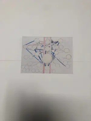 Pietsjanke Fokkema - Utwrydsk kopen? Bied vanaf 25!