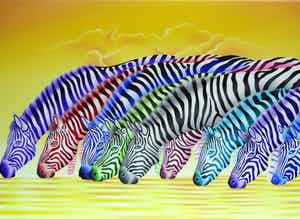 Paul van Groningen - Diversity verkocht voor € 295!