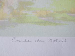 Nicole Schaap - coucher du soleil kopen? Bied vanaf 55!