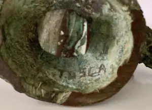 Tosca van den Haak - Brutaal vogeltje kopen? Bied vanaf 595!