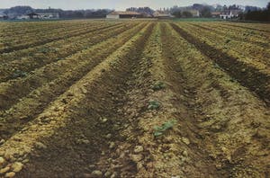 Paul Huf - Foto, Het land - Ingelijst kopen? Bied vanaf 1!