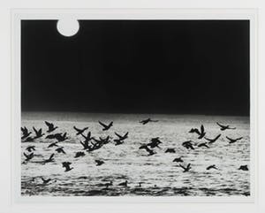 Freddy Rikken - Foto, Zeegezicht - Ingelijst kopen? Bied vanaf 10!