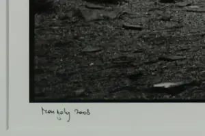 Koen Blanckaert - Fotografie op papier, Mongolia 10 - Ingelijst kopen? Bied vanaf 60!