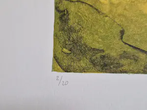 Ardi Brouwer - Fraaie polychrome zeefdruk "het huis van de verzamelaar" zeer kleine oplage! kaufen? Bieten Sie von 44!