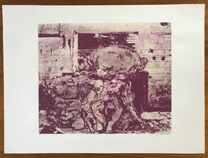 Wilfried Pas - Grote gesigneerde zeefdruk - 10/10 - Kleine oplage! - 1972 - Zelden aangeboden! kopen? Bied vanaf 65!