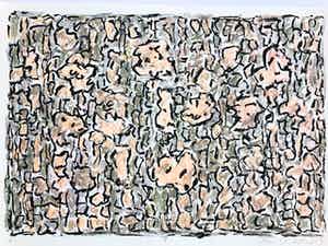 Jan Wolkers - winterbeelden verkocht voor € 210!