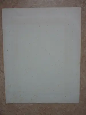 Theo van Hoytema - Lithografie op chine collé - Dood vogeltje 1904 kopen? Bied vanaf 100!