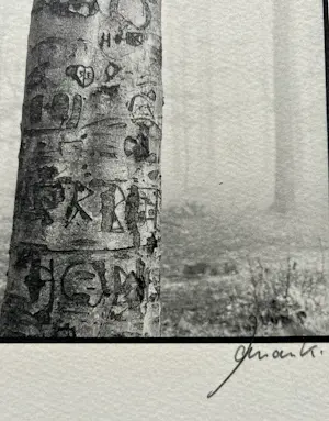 Ralph Janowski - 2x zeefdruk kopen? Bied vanaf 32!