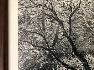 Niet of onleesbaar gesigneerd - Houtbewerkers in het bos kopen? Bied vanaf 1!