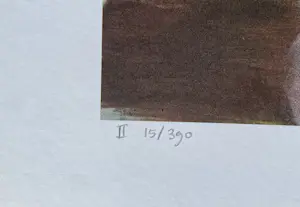 Karin Bos - Zeefdruk: Appearance / disappearance kopen? Bied vanaf 30!