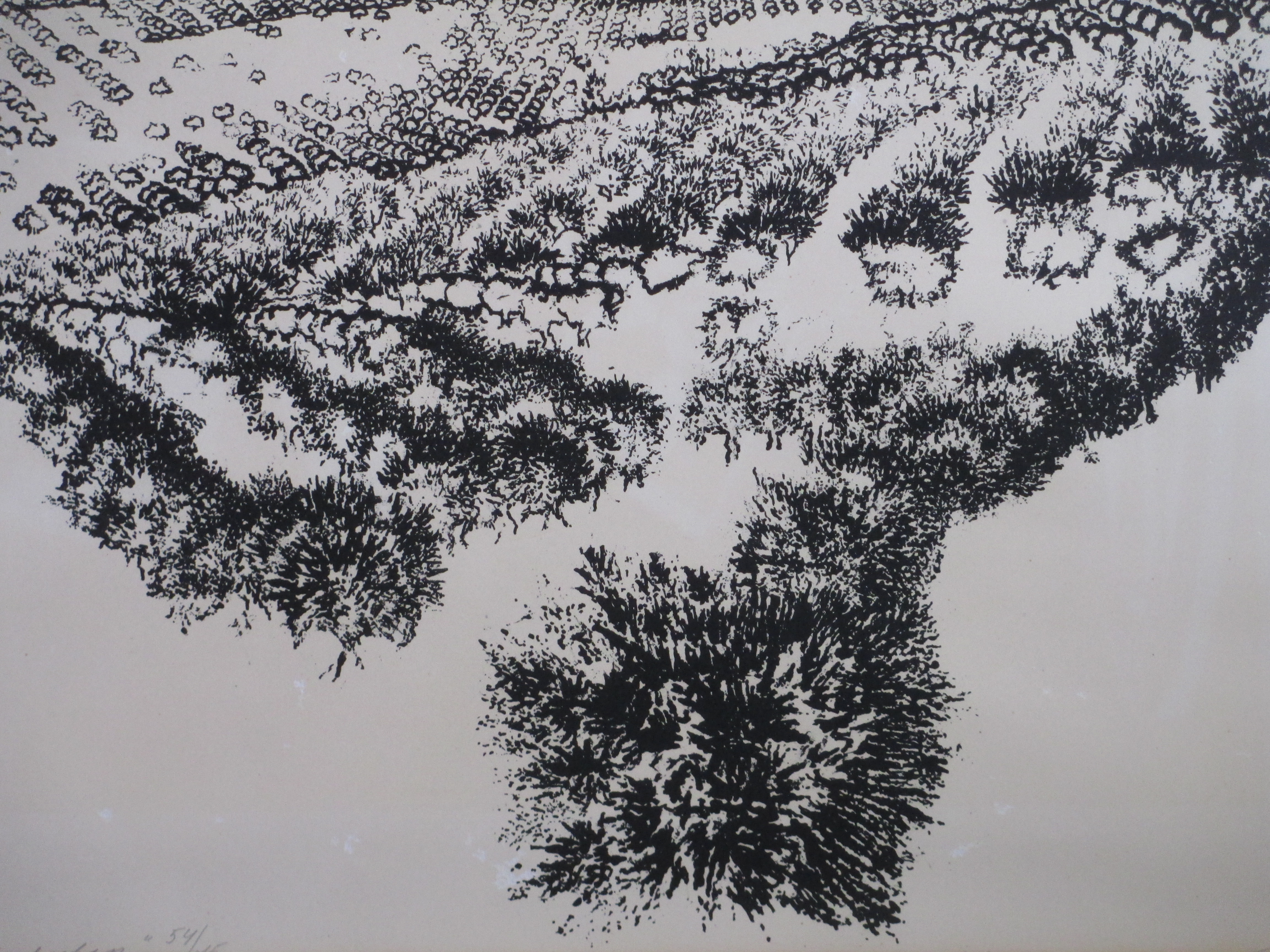 Ap Sok - Spaans landschap - Litho kopen? Bied vanaf 1!
