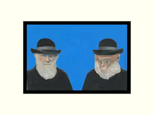 AcheterBert Witte - darwin? Enchérissez de 28!