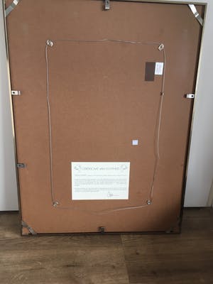 Ortho Owen - Kleurenlitho ‘Spike’ kopen? Bied vanaf 40!