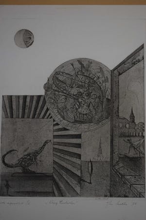 Jan Vaatstra - Ets - " Wrong Evolution " kopen? Bied vanaf 40!