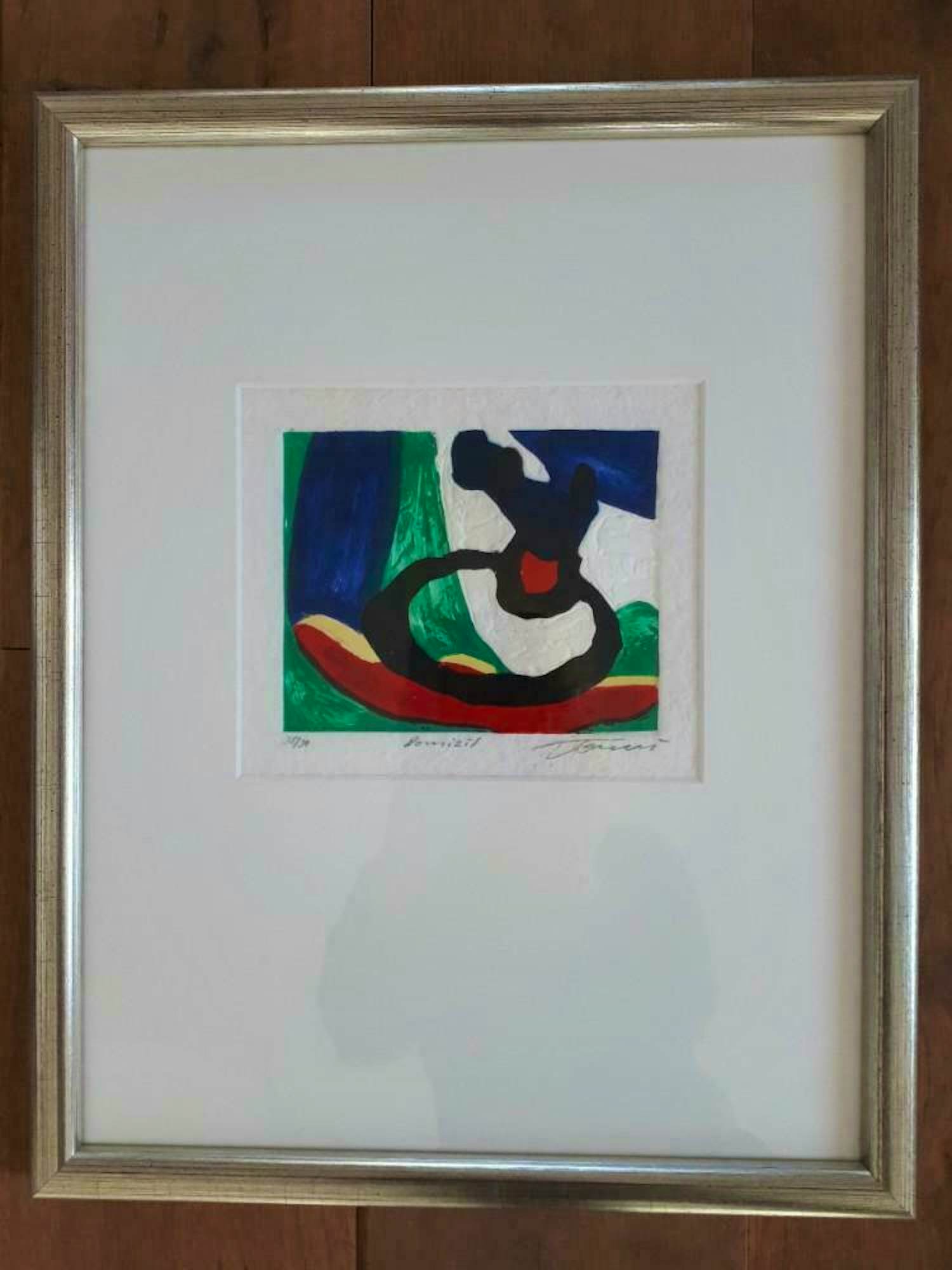 Jan Tormi - Domizil Aquagravure kopen? Bied vanaf 100!