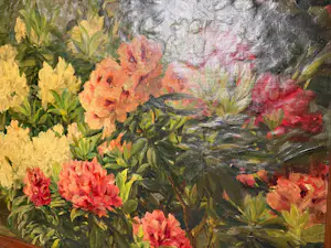 Léonie Mottart-van Marcke - Chrysanthèmes kopen? Bied vanaf 1200!