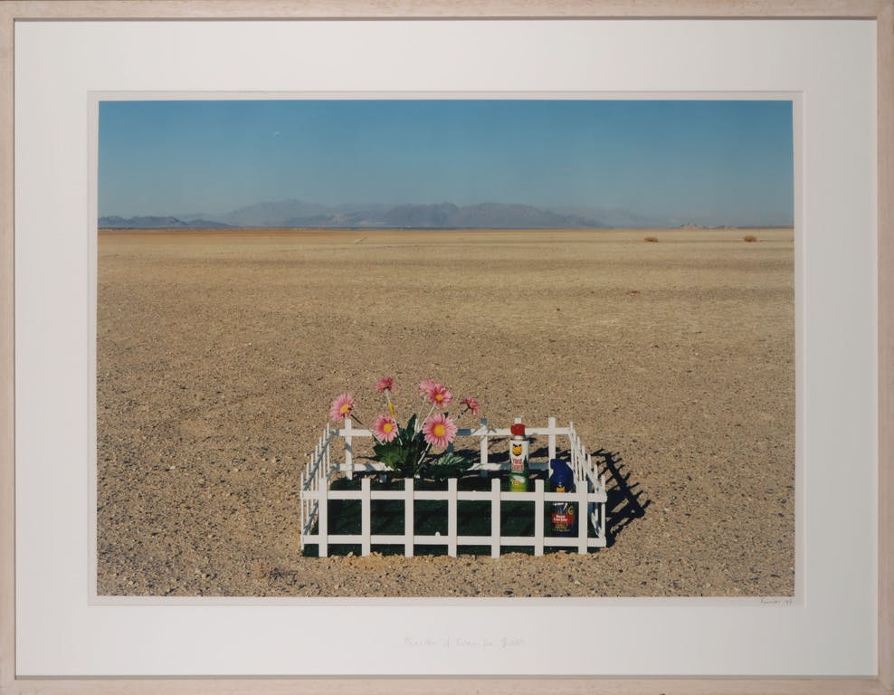 Jean Ruiter - Jean Ruiter: Foto, Garden of Eden for 26.00 USD - Ingelijst (Groot) verkocht voor € 125!