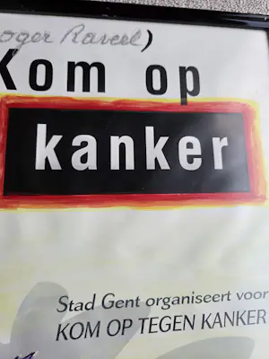 Roger Raveel - ' Ik kom op tegen Kanker' kopen? Bied vanaf 795!