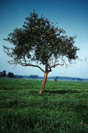 Paul Huf - C-Print, Drenthe - Ingelijst (Zeer groot) kopen? Bied vanaf 1!