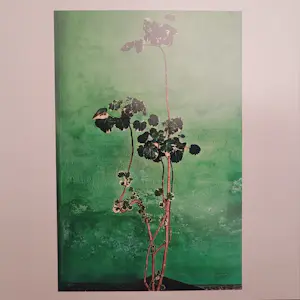 Raghu Rai - Trees - Magnum photos limited edition kopen? Bied vanaf 250!