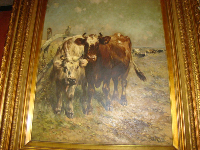 Henry Schouten - twee koeien op de weide kopen? Bied vanaf 2450!