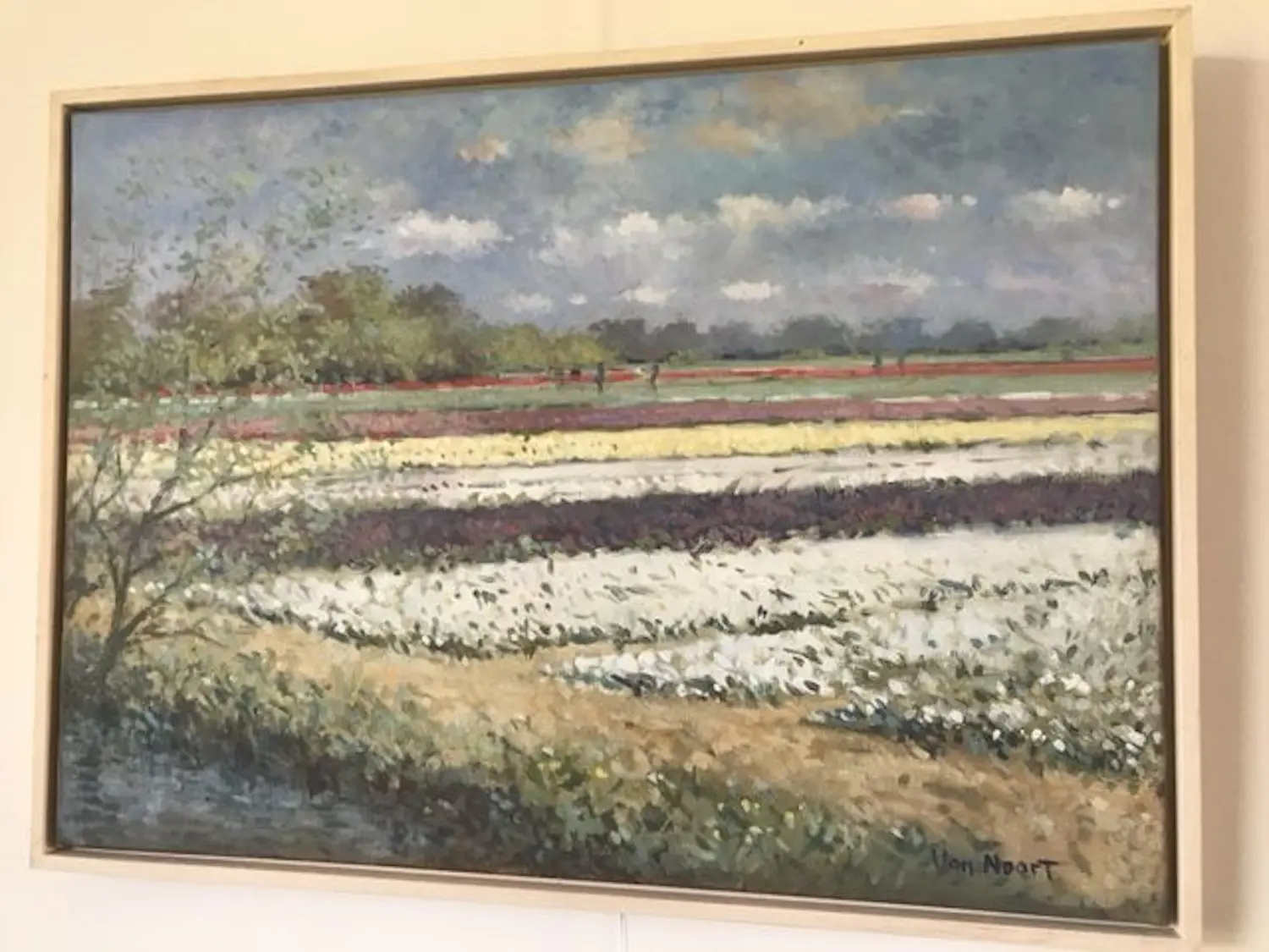 Alexander van Noort (1953)