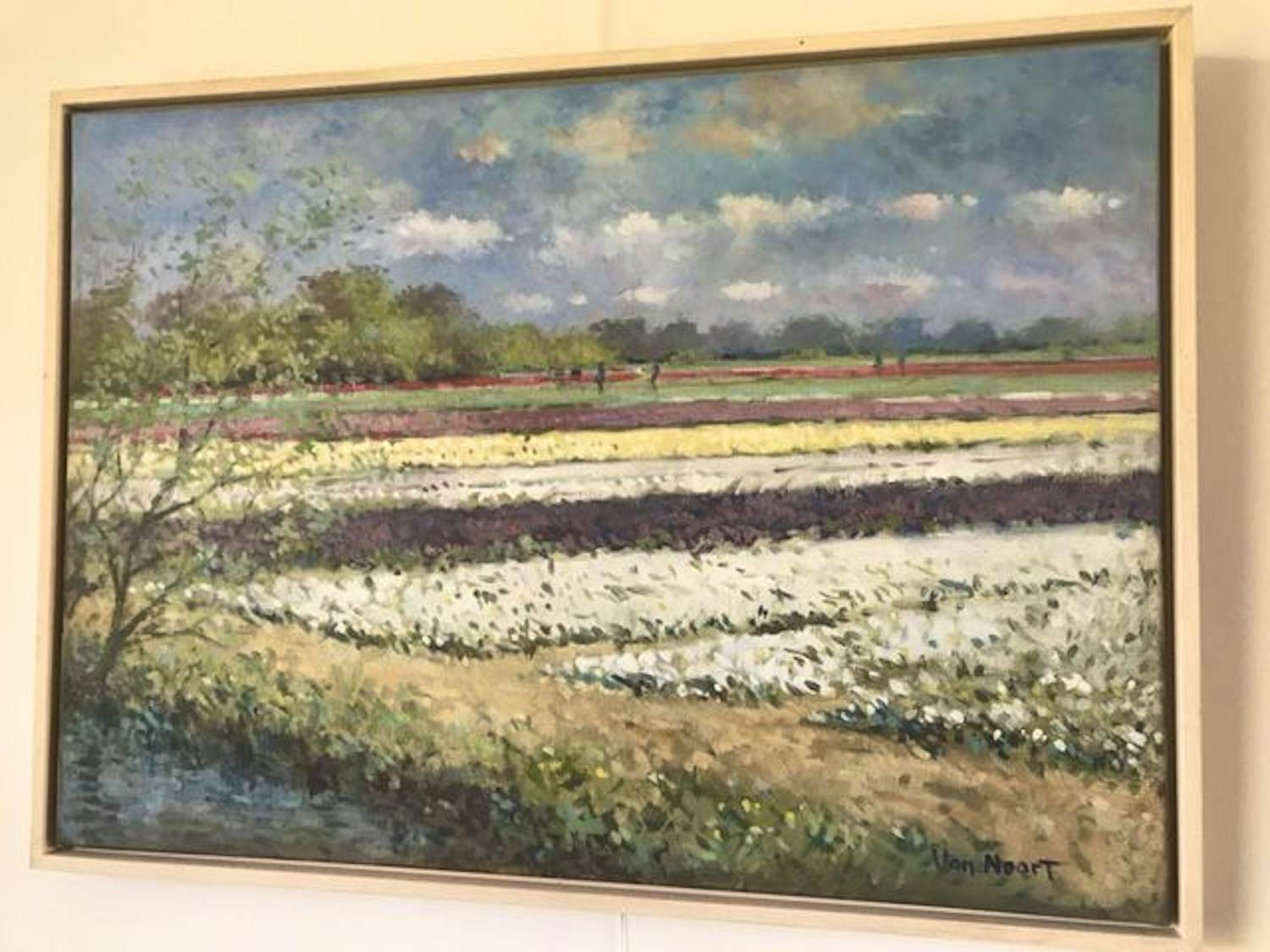 Buy Alexander van Noort - Bollenveld Heemstede? Bid from 295!