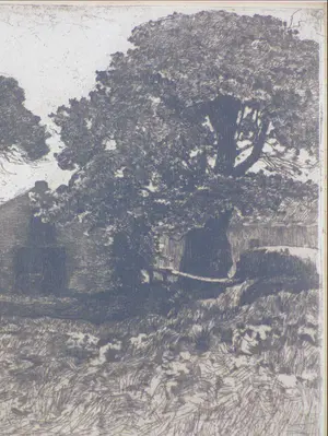 Willem de Zwart - Boerderij in Dekkersduin - Ets 1885 kopen? Bied vanaf 70!