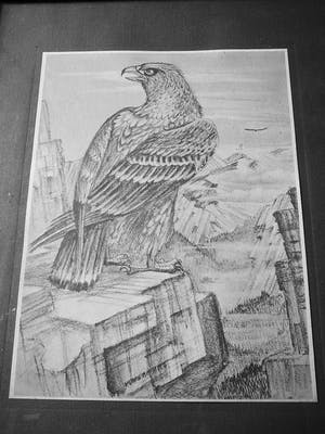 Kuno Brinks - Adelaar in gebergte kopen? Bied vanaf 45!