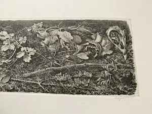 Dirk van Gelder - ets SPIN kopen? Bied vanaf 50!