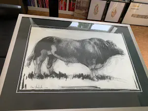 Nico Vrielink - Stier UNICA‼️ kaufen? Bieten Sie von 250!
