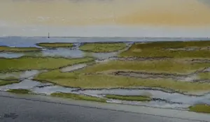 Franklin Meijer - Terschelling - Strand en de Stryp - 2 x kavel kopen? Bied vanaf 50!