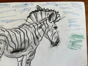 Cornelis Jan Mension - Tekening van een zebra, gemaakt in Artis kopen? Bied vanaf 80!