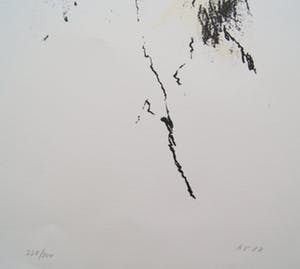 Armando - litho ‘Der Baum’ – 1988 – oplage 228/300. kopen? Bied vanaf 350!