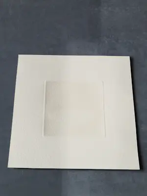 Joop Vegter - Fraaie kleine mezzotint "witlof" - bep. oplage (7/125) - potloodgesigneerd kopen? Bied vanaf 45!