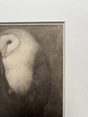 Jan Mankes - Originele Heliogravure Uil op Boomtak 1927 kopen? Bied vanaf 165!