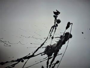 Anton Heyboer - De oervogel . kopen? Bied vanaf 175!