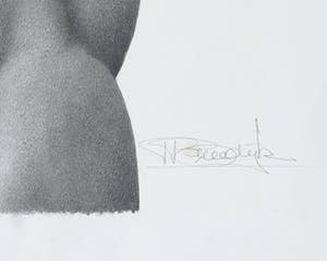 Peter Breedijk - Zeer gedetailleerde potloodtekening, Fantasiefiguren kopen? Bied vanaf 100!