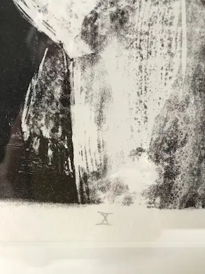 Jeroen Hermkens - litho Naakt X (mooi ingelijst) kopen? Bied vanaf 90!