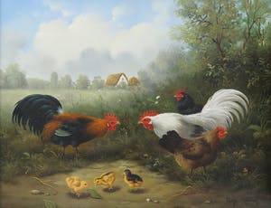 Ray Jacob - Olieverf op paneel, Kippen en hanen kopen? Bied vanaf 200!