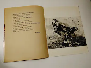 Karel Appel - Sculptures Paris 1962 - Gesigneerd kopen? Bied vanaf 100!